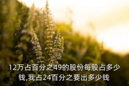12萬(wàn)占百分之49的股份每股占多少錢,我占24百分之要出多少錢