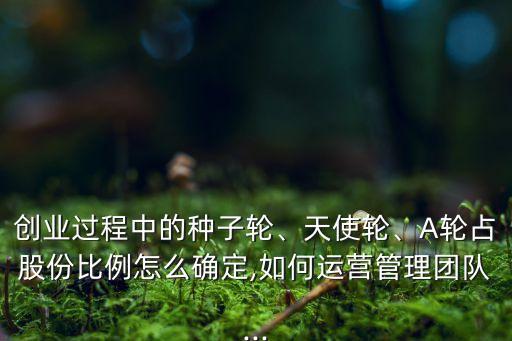 創(chuàng)業(yè)過程中的種子輪、天使輪、A輪占股份比例怎么確定,如何運營管理團隊...