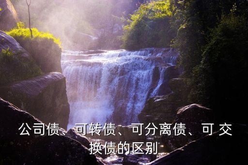  公司債、可轉(zhuǎn)債、可分離債、可 交換債的區(qū)別