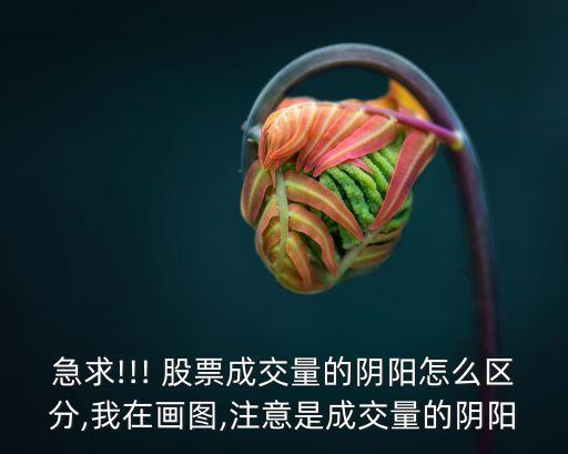 股票9陽,股票上海新陽價(jià)格