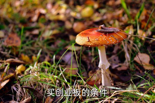 買(mǎi)創(chuàng)業(yè)板的條件