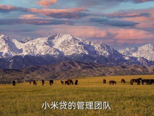 上海復星集團地產公司總裁徐曉亮