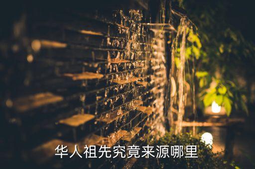 如何見到中國人的老祖宗,中國人為什么喜歡研究老祖宗