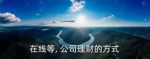 在線(xiàn)等, 公司理財(cái)?shù)姆绞? class=