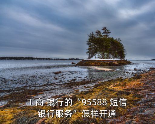  工商 銀行的“95588 短信 銀行服務(wù)”怎樣開(kāi)通