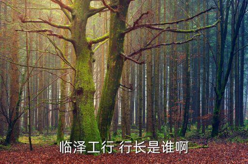 臨澤工行 行長(zhǎng)是誰(shuí)啊