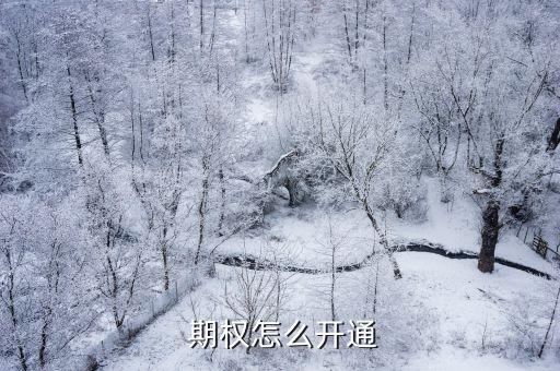 期權(quán)股票在哪個賬戶里,股指期權(quán)和股票哪個風(fēng)險大嗎?