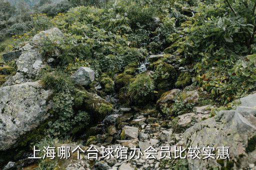  上海哪個臺球館辦會員比較實(shí)惠