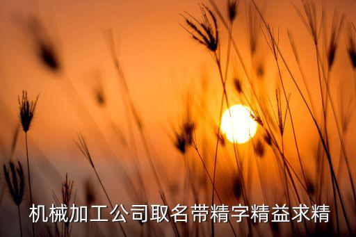 奇精機(jī)械股份有限公司董事長,寧海縣奇精機(jī)械股份有限公司