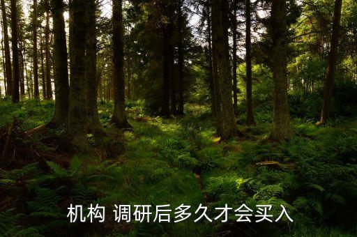  機(jī)構(gòu) 調(diào)研后多久才會買入