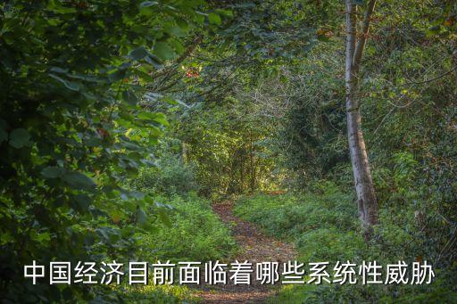 中國(guó)經(jīng)濟(jì)目前面臨著哪些系統(tǒng)性威脅