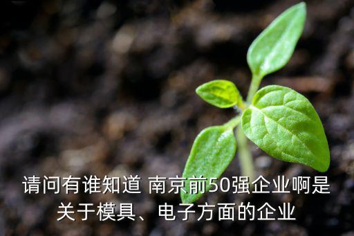 請問有誰知道 南京前50強企業(yè)啊是關(guān)于模具、電子方面的企業(yè)