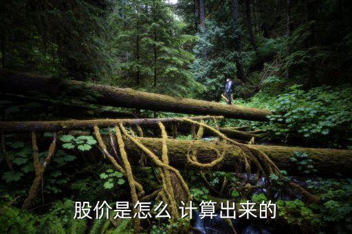 股票市場(chǎng)價(jià)格計(jì)算公式,債券的理論市場(chǎng)價(jià)格計(jì)算公式