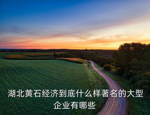  湖北黃石經濟到底什么樣著名的大型企業(yè)有哪些