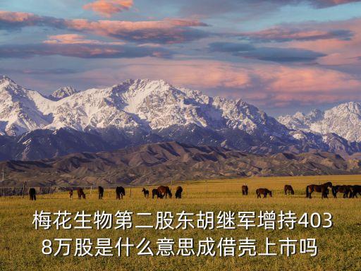  梅花生物第二股東胡繼軍增持4038萬(wàn)股是什么意思成借殼上市嗎