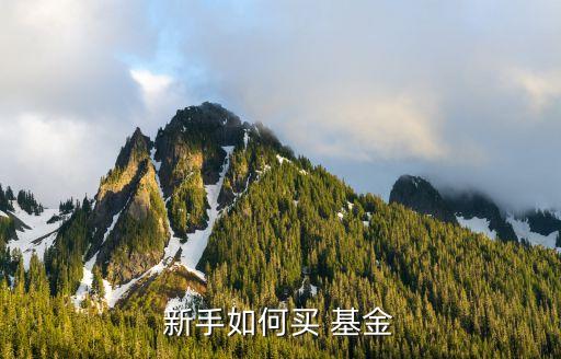 新手如何買(mǎi) 基金