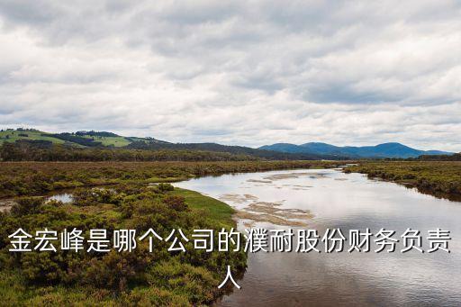 金宏峰是哪個公司的濮耐股份財務(wù)負責(zé)人