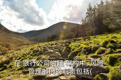 銀行風險管理組織架構,證券公司風險管理的組織架構包括