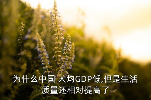 為什么中國(guó) 人均GDP低,但是生活質(zhì)量還相對(duì)提高了