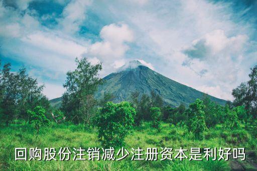 上市公司終止回購(gòu)是利空嗎