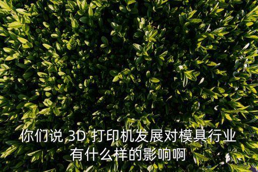 你們說 3D 打印機(jī)發(fā)展對(duì)模具行業(yè)有什么樣的影響啊