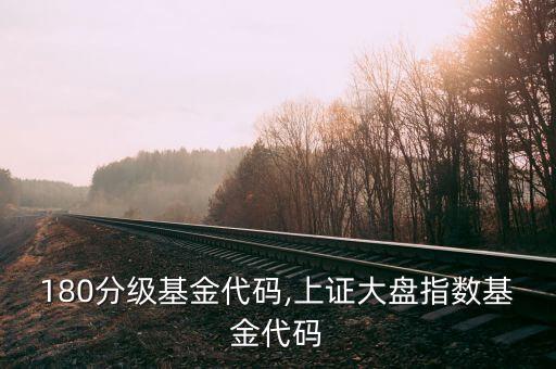 上證180分級(jí)基金代碼,上證大盤(pán)指數(shù)基金代碼