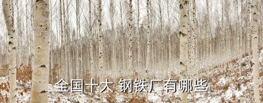 南京鋼鐵集團(tuán)無錫金鑫鋼廠