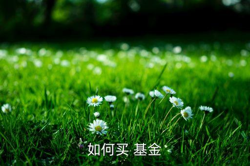 股市怎樣買貨幣基金,股市貨幣基金賣出后可以當天取出嗎