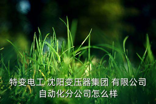 特變電工 沈陽變壓器集團(tuán) 有限公司自動(dòng)化分公司怎么樣