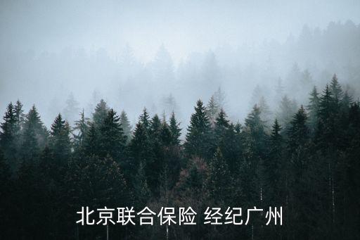 北京聯合保險 經紀廣州