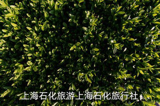 張掖上市公司,張掖有沒(méi)有上市公司