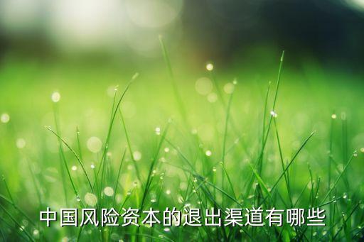 中國(guó)風(fēng)險(xiǎn)資本的退出渠道有哪些