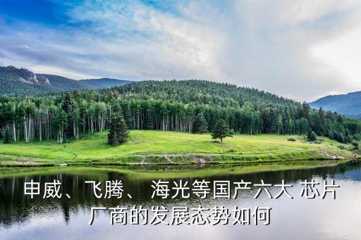 申威、飛騰、 海光等國(guó)產(chǎn)六大 芯片廠商的發(fā)展態(tài)勢(shì)如何