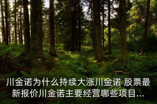 川金諾為什么持續(xù)大漲川金諾 股票最新報價川金諾主要經(jīng)營哪些項目...