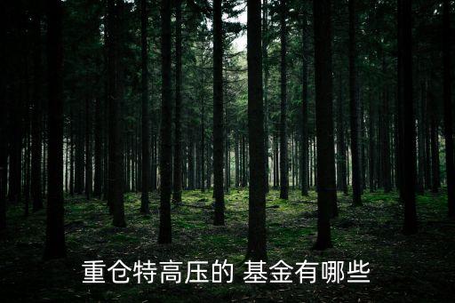 重倉(cāng)特高壓的 基金有哪些