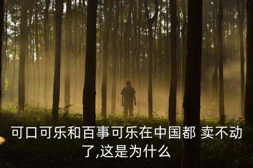 中國(guó)產(chǎn)品賣(mài)不動(dòng)