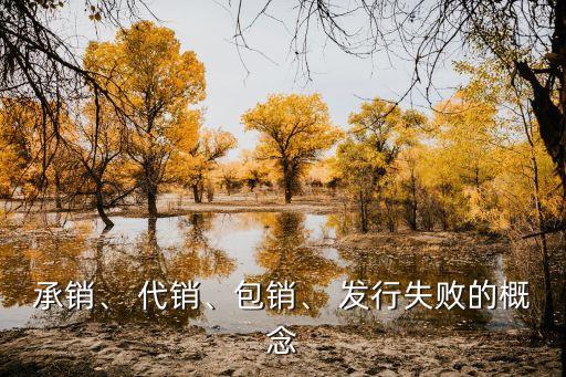 承銷(xiāo)、 代銷(xiāo)、包銷(xiāo)、 發(fā)行失敗的概念