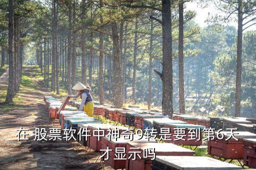 股票九轉