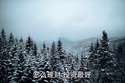 怎么理財(cái) 投資最好