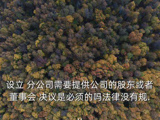 分公司注冊(cè)股東會(huì)決議,設(shè)立分公司需要股東會(huì)決議嗎