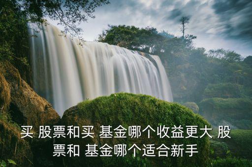 買(mǎi) 股票和買(mǎi) 基金哪個(gè)收益更大 股票和 基金哪個(gè)適合新手