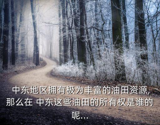  中東地區(qū)擁有極為豐富的油田資源,那么在 中東這些油田的所有權是誰的呢...