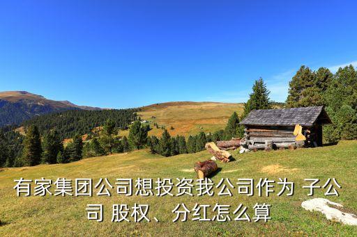 有家集團(tuán)公司想投資我公司作為 子公司 股權(quán)、分紅怎么算