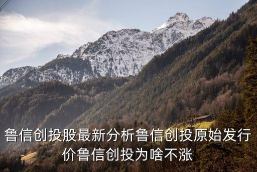 魯信創(chuàng)投股最新分析魯信創(chuàng)投原始發(fā)行價(jià)魯信創(chuàng)投為啥不漲