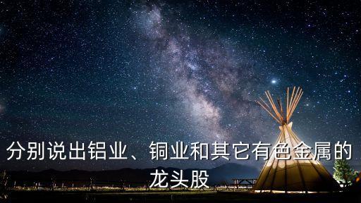 分別說出鋁業(yè)、銅業(yè)和其它有色金屬的龍頭股