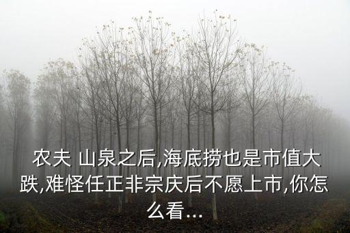  農夫 山泉之后,海底撈也是市值大跌,難怪任正非宗慶后不愿上市,你怎么看...