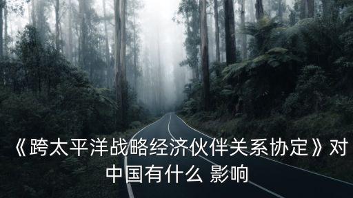 《跨太平洋戰(zhàn)略經(jīng)濟(jì)伙伴關(guān)系協(xié)定》對(duì)中國(guó)有什么 影響