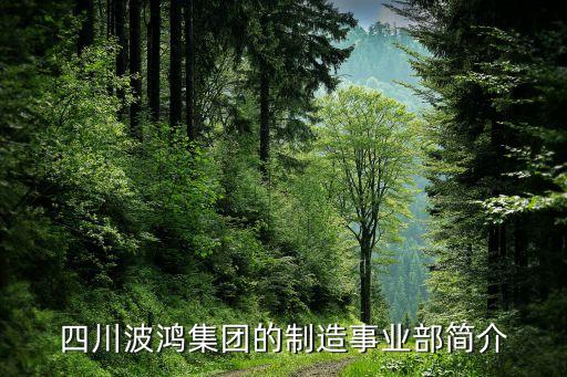 四川波鴻集團(tuán)的制造事業(yè)部簡(jiǎn)介
