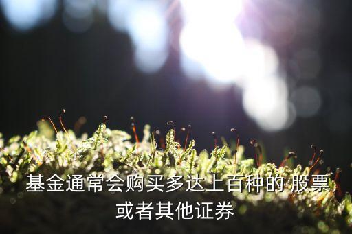  基金通常會購買多達上百種的 股票或者其他證券