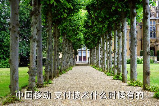 中國移動 支付技術什么時候有的